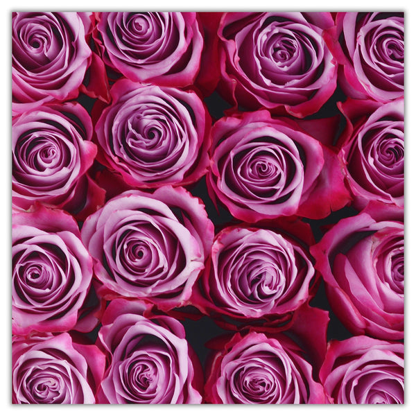 Cube - Pink Roses - Black Box - The Million Roses Slovakia
