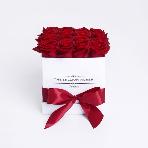Cube - Red Roses - White Box - The Million Roses Slovakia