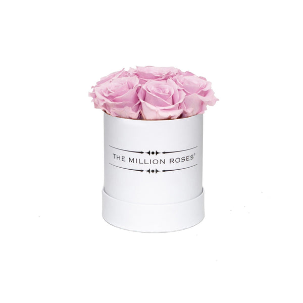 The Million Basic - Soft Pink Eternity Roses - White Box - The Million Roses Slovakia