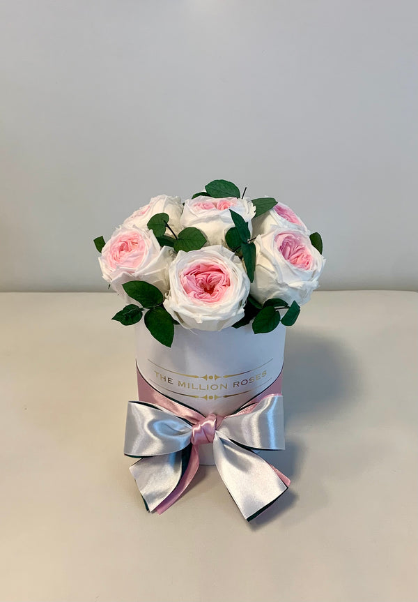 The Million Basic - Pink & White Eternity English Roses - White Box - The Million Roses Slovakia