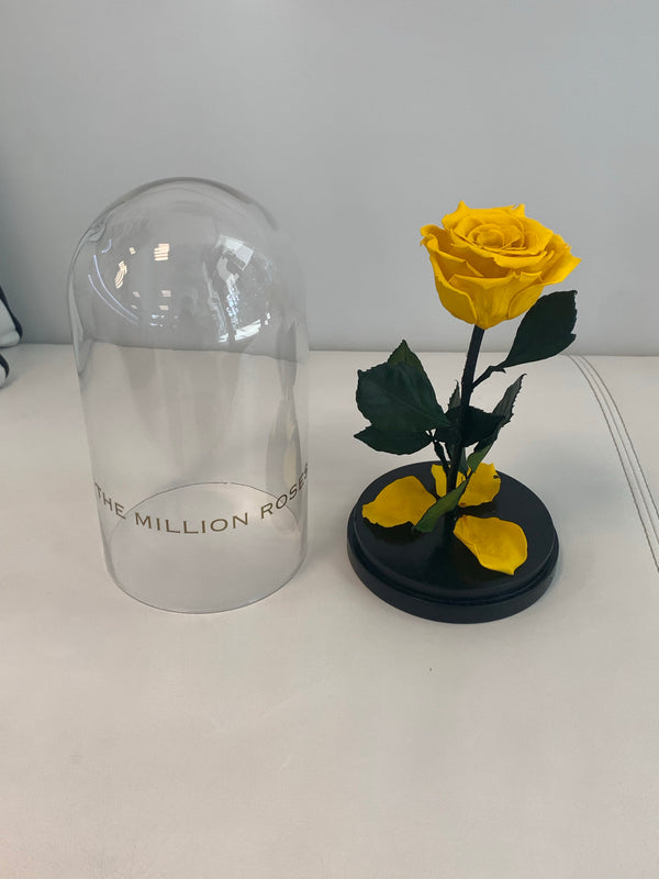 Ruža v skle, žltá - The Million Roses Slovakia