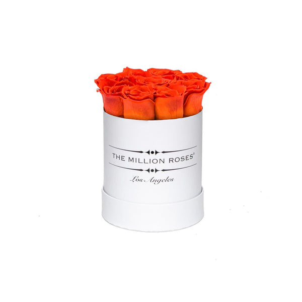 The Million Basic - Hermès Orange Eternity Roses - White Box - The Million Roses Slovakia