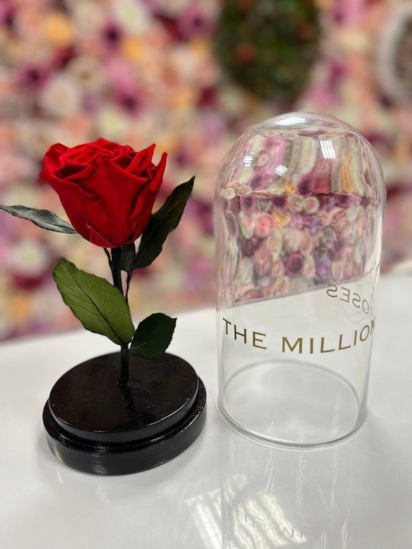 Ruža v skle 20cm - The Million Roses Slovakia
