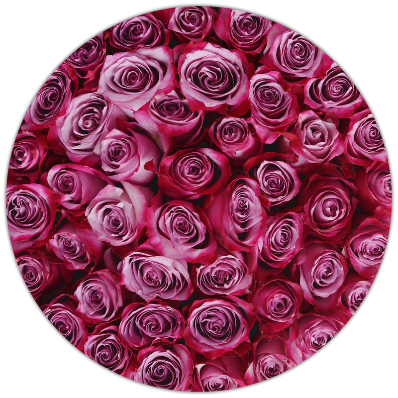 Medium - Purple Roses - White Box - The Million Roses Slovakia