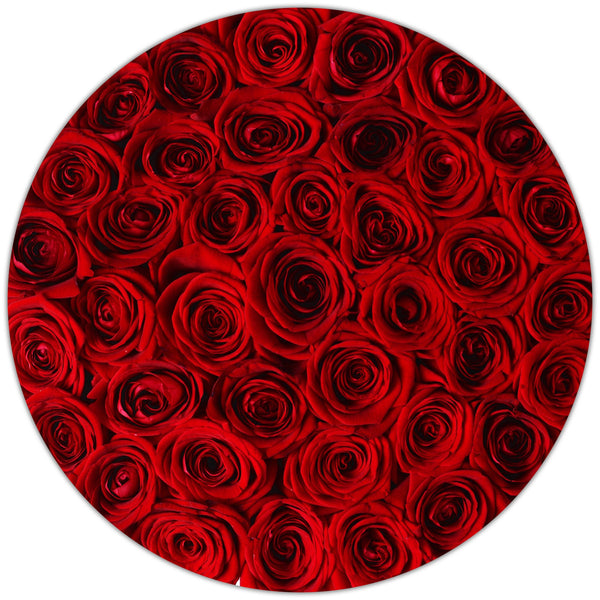 Medium - Red Roses - Silver Box - The Million Roses Slovakia