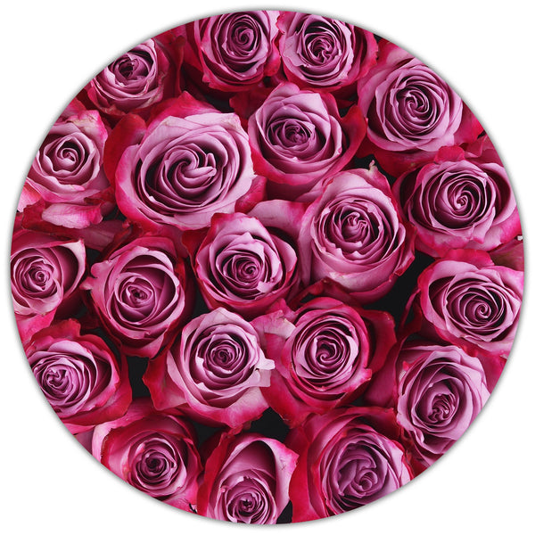 Small - Purple Roses - Silver Box - The Million Roses Slovakia