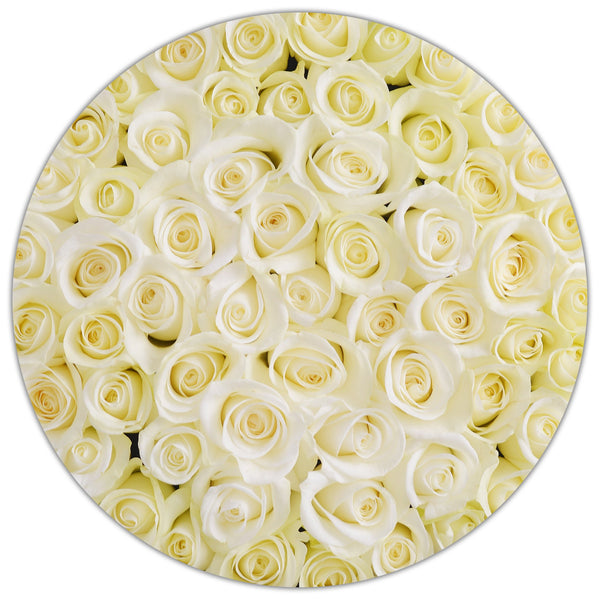 Medium - White Roses - White Box - The Million Roses Slovakia