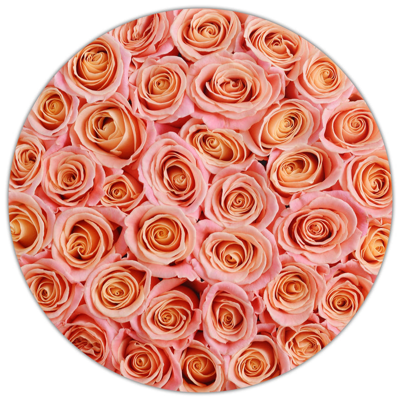 Medium - Peach Roses - Silver Box - The Million Roses Slovakia