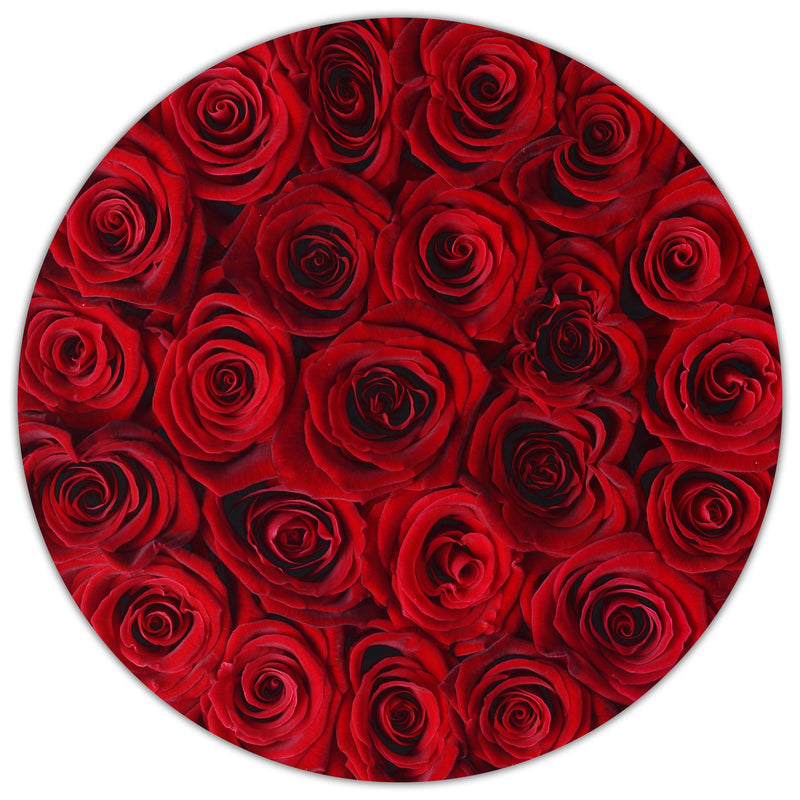 Small - Red Roses  - Silver Box - The Million Roses Slovakia