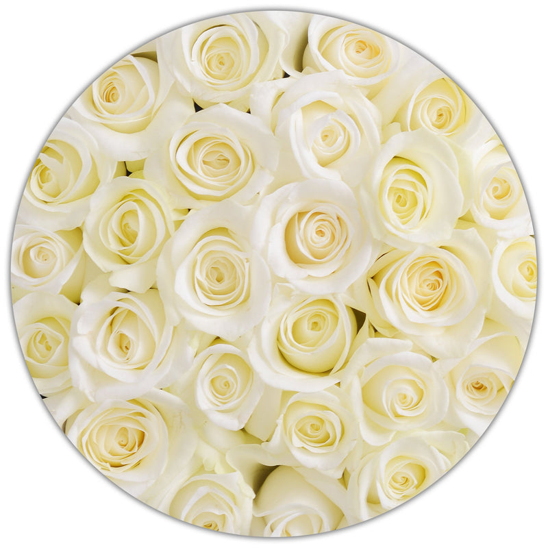 Small - White  Roses - Silver Box - The Million Roses Slovakia