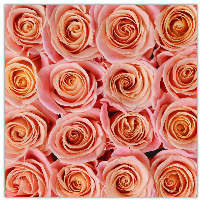 Cube - Peach Roses - White Box - The Million Roses Slovakia