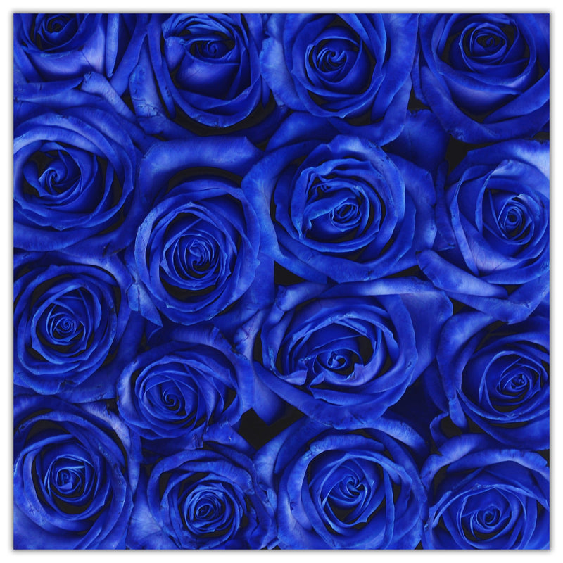 Cube - Blue Roses - Black Box - The Million Roses Slovakia
