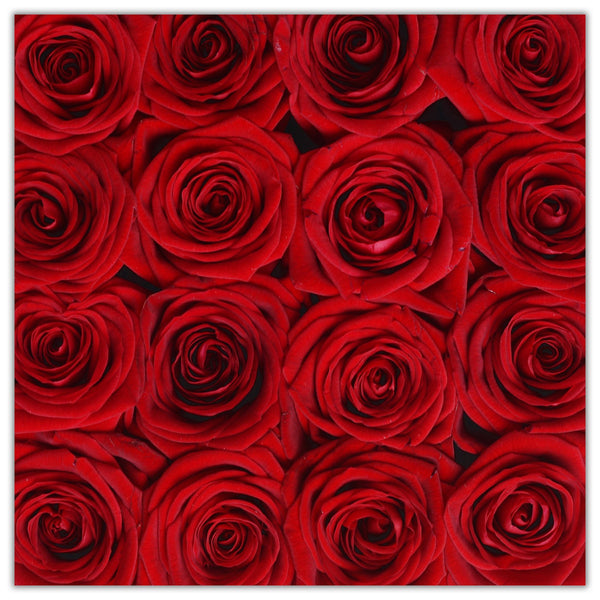 Cube - Red Roses - Black Box - The Million Roses Slovakia