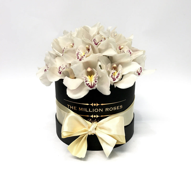 Small - White Orchids - Black Box - The Million Roses Slovakia