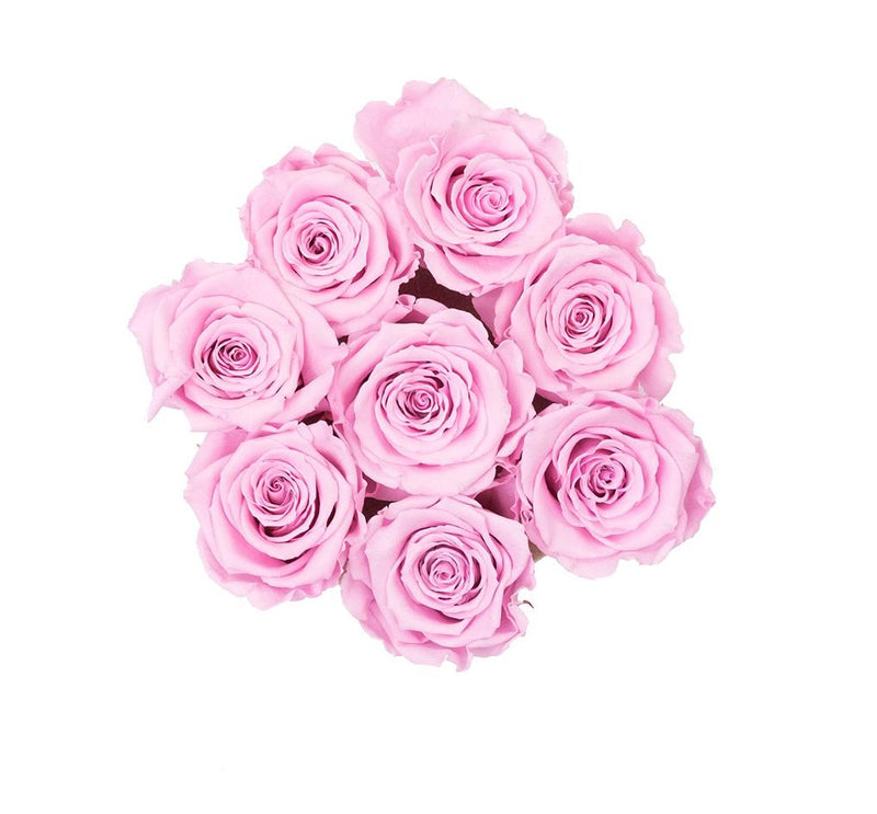 The Million Basic - Soft Pink  Roses - Vanilla Box - The Million Roses Slovakia