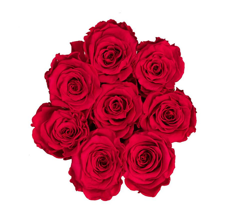 The Million Basic - Red Eternity Roses - Vanilla Box - The Million Roses Slovakia