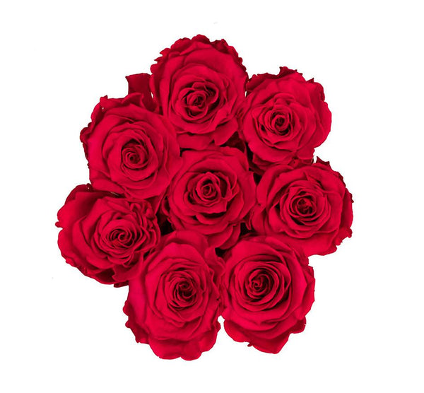 The Million Basic - Red Eternity Roses - Black Box - The Million Roses Slovakia