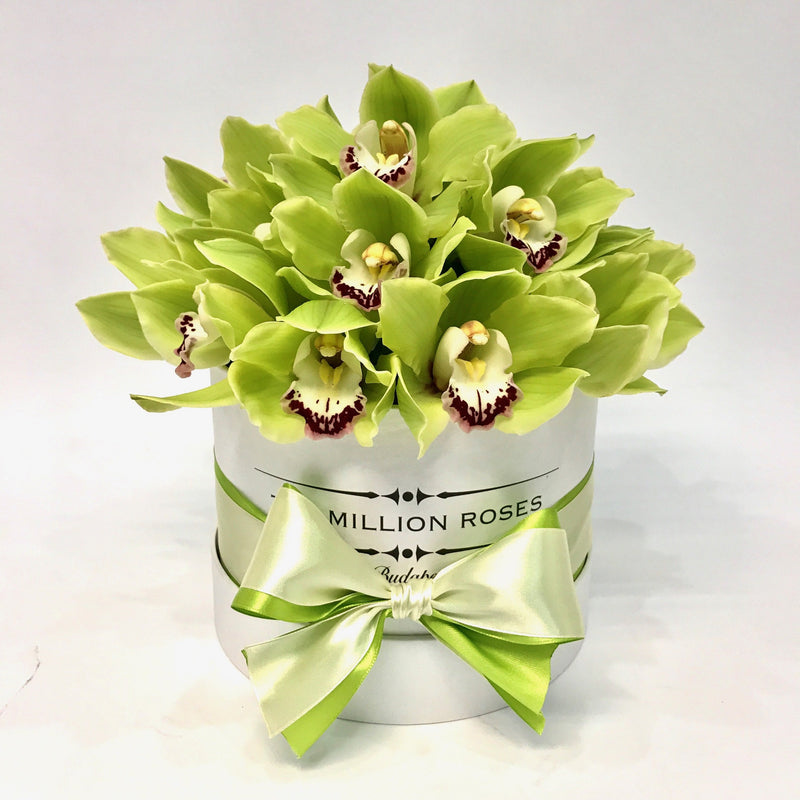 Small - Green Orchids - White Box - The Million Roses Slovakia