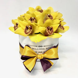 Small - Yellow Orchids - White Box - The Million Roses Slovakia