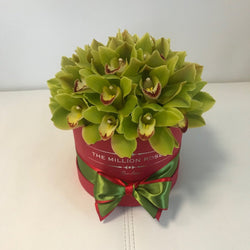 Red Small Box- Green Orchids - The Million Roses Slovakia
