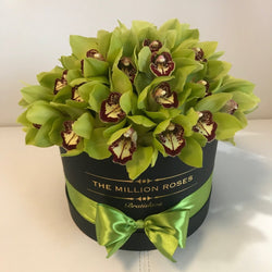 Black Medium Box- Green Orchids - The Million Roses Slovakia