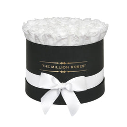 Medium - White Roses - Black Box - The Million Roses Slovakia