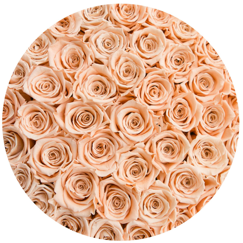 Medium - Peach Eternity Roses - Black Box - The Million Roses Slovakia