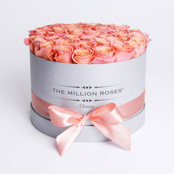 Medium - Peach Roses - Silver Box - The Million Roses Slovakia