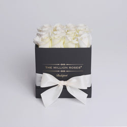 Cube - White Roses - Black Box - The Million Roses Slovakia
