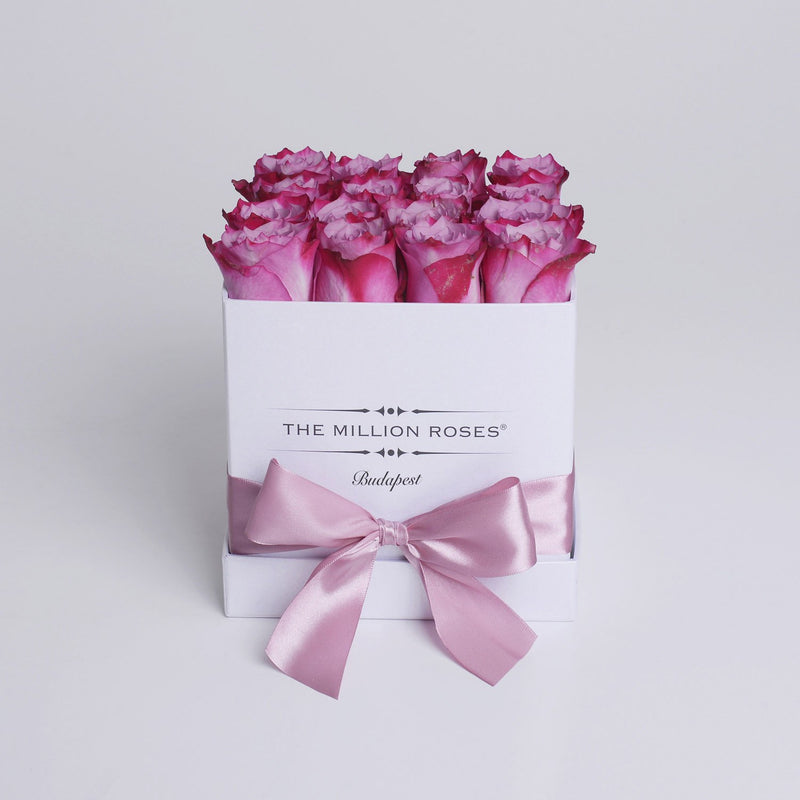 Cube - Pink Roses - White Box - The Million Roses Slovakia