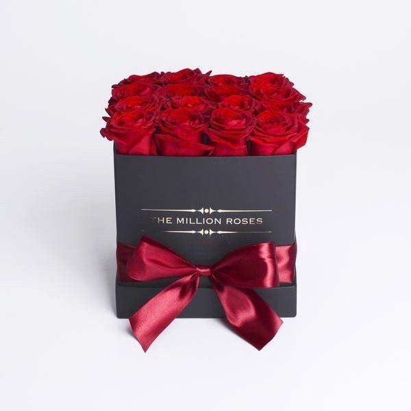 Cube - Red Roses - Black Box - The Million Roses Slovakia