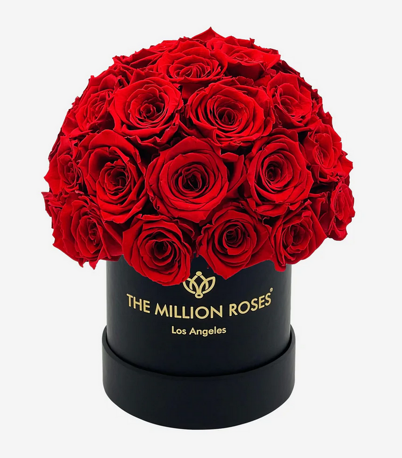 Basic Superdome Eternity Rose Box | Červené ruže - The Million Roses Slovakia