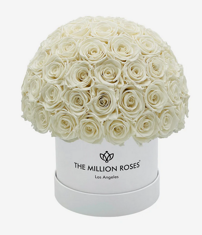 Small Superdome Eternity Rose Box | Biele ruže - The Million Roses Slovakia