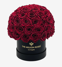 Small Superdome Eternity Rose Box | Červené ruže - The Million Roses Slovakia