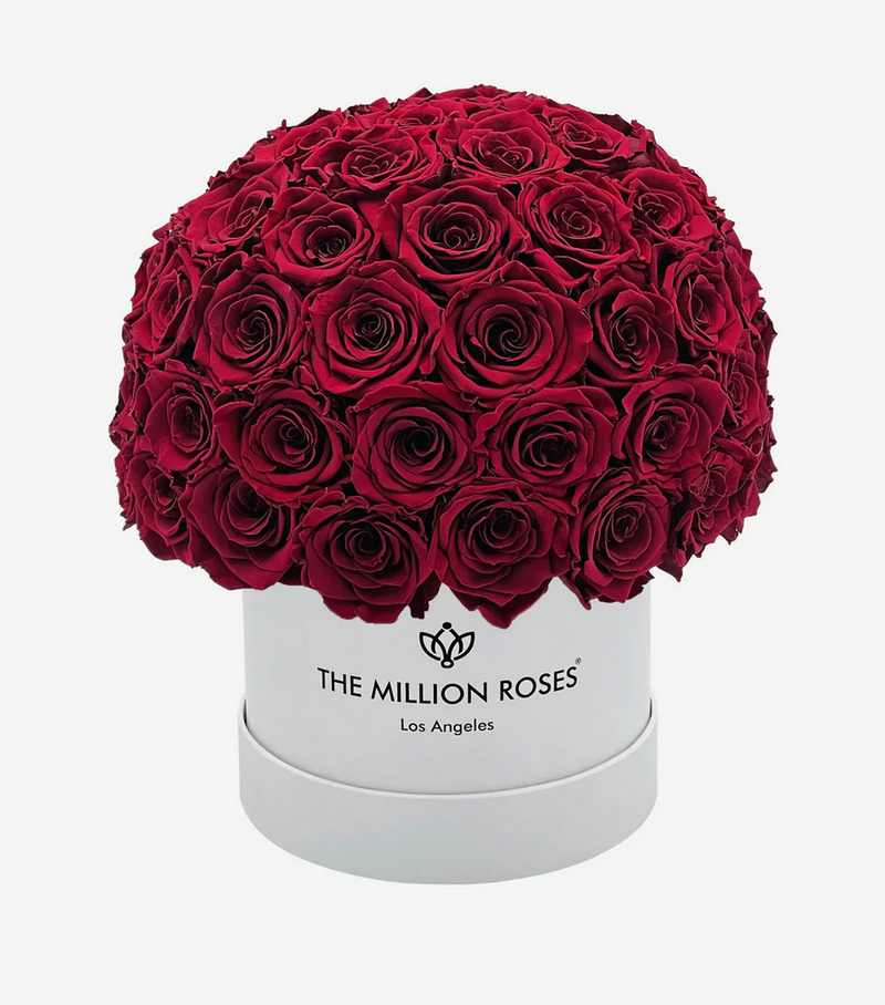 Small Superdome Eternity Rose Box | Červené ruže - The Million Roses Slovakia