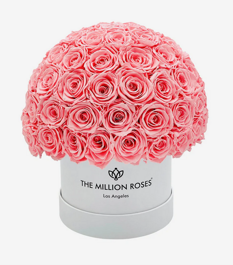 Small Superdome Eternity Rose Box | Ružové ruže - The Million Roses Slovakia