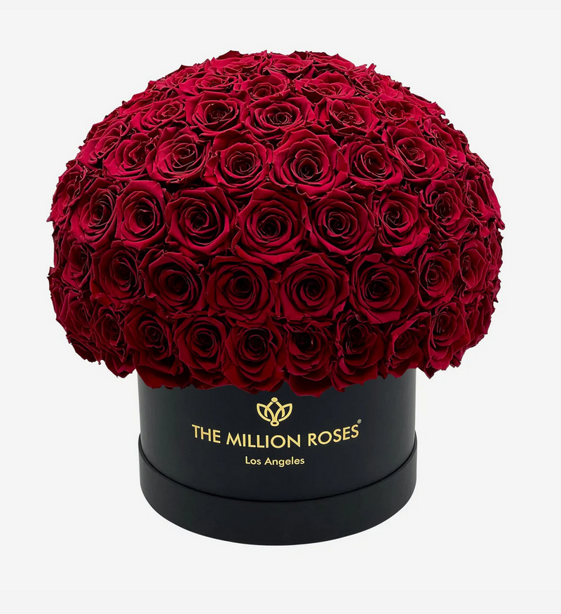 Medium Superdome Eternity Rose Box | Červené ruže - The Million Roses Slovakia