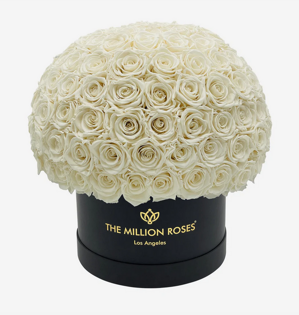 Medium Superdome Eternity Rose Box | Biele ruže - The Million Roses Slovakia