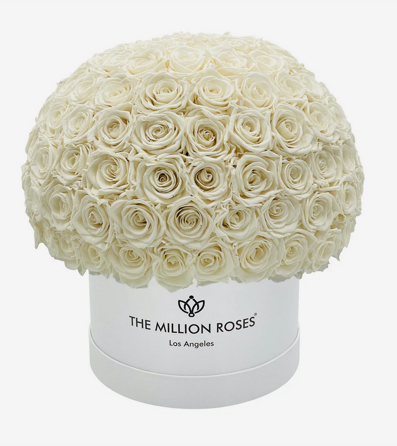 Medium Superdome Eternity Rose Box | Biele ruže - The Million Roses Slovakia