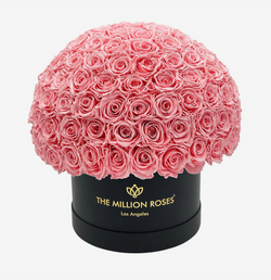 Medium Superdome Eternity Rose Box | Ružové ruže - The Million Roses Slovakia