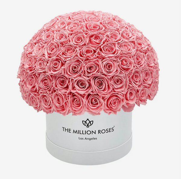 Medium Superdome Eternity Rose Box | Ružové ruže - The Million Roses Slovakia