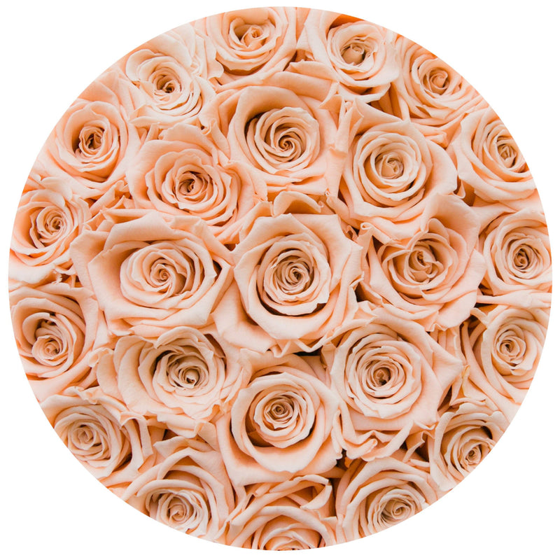 Small - Peach Eternity Roses - Vanilla Box - The Million Roses Slovakia