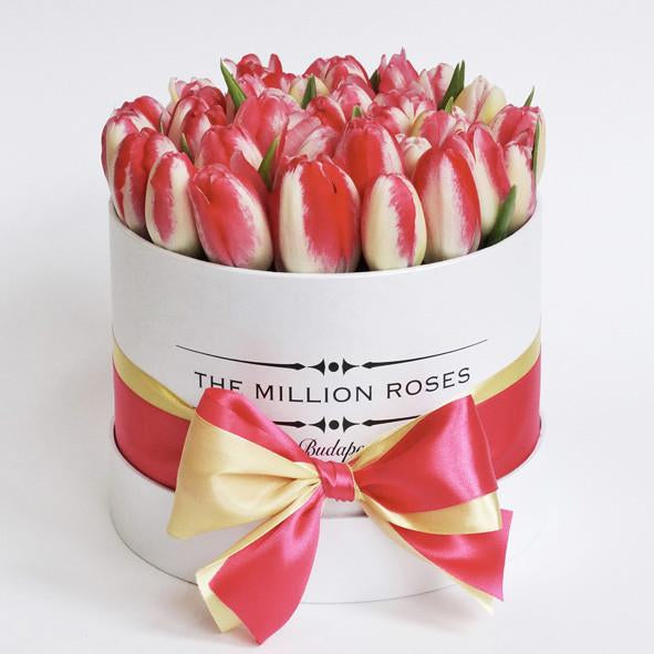 Small - Red Tulips - White Box - The Million Roses Slovakia