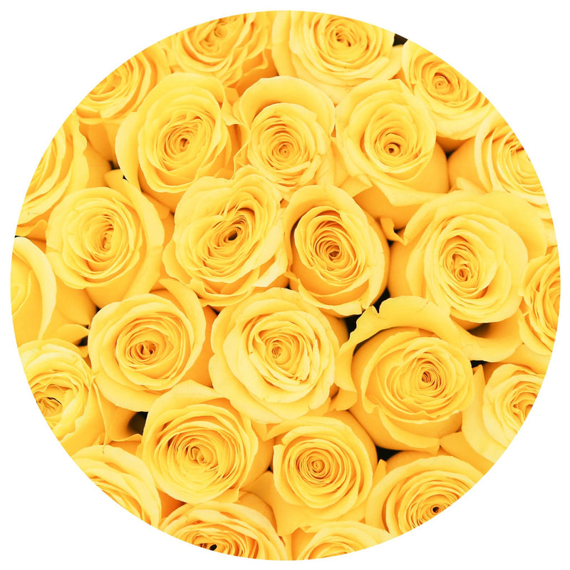 Small - Yellow Roses - White Box - The Million Roses Slovakia