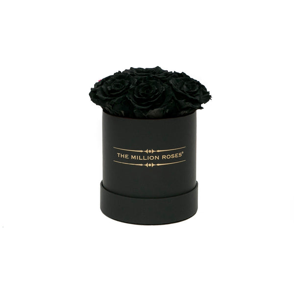 The Million Basic - Black Roses - Black Box - The Million Roses Slovakia