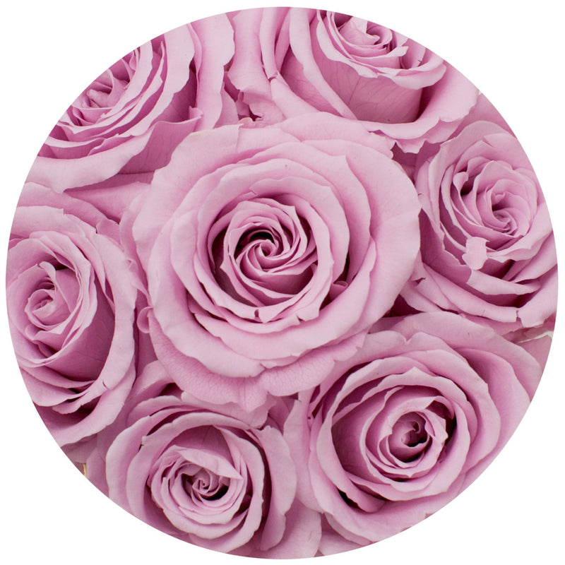 The Million Basic - Candy Pink Eternity Roses - Black Box - The Million Roses Slovakia