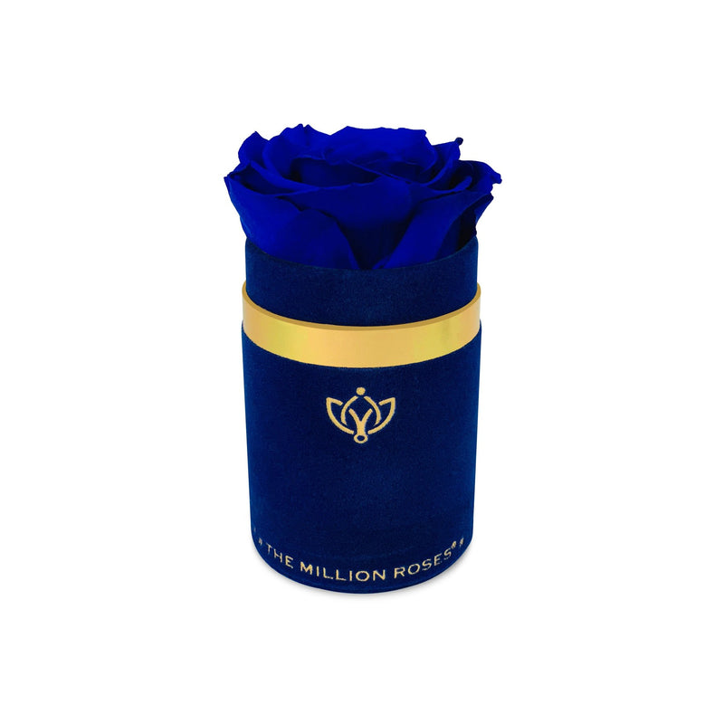 Single Rose Box - Blue Suede - The Million Roses Slovakia