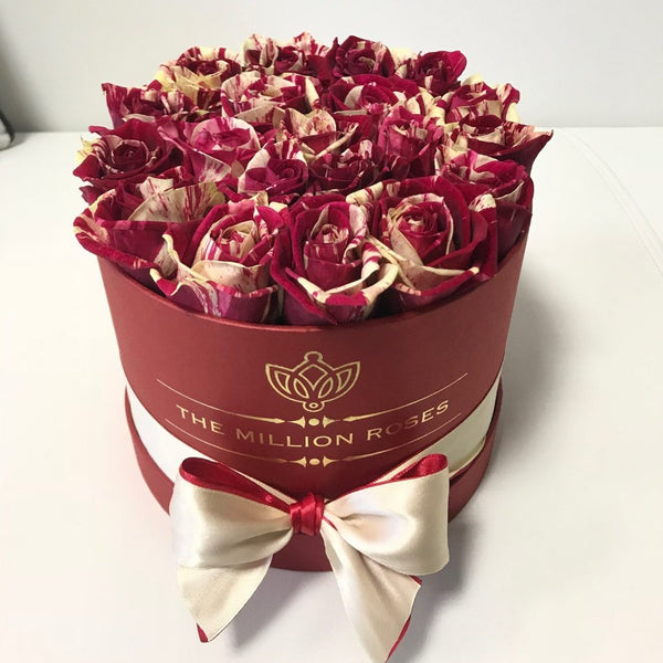 Small - Harlequin Roses - Red Box - The Million Roses Slovakia