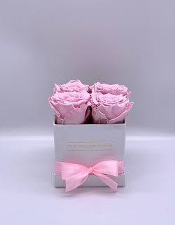 Biely hranatý box - ružové trvácne ruže - The Million Roses Slovakia