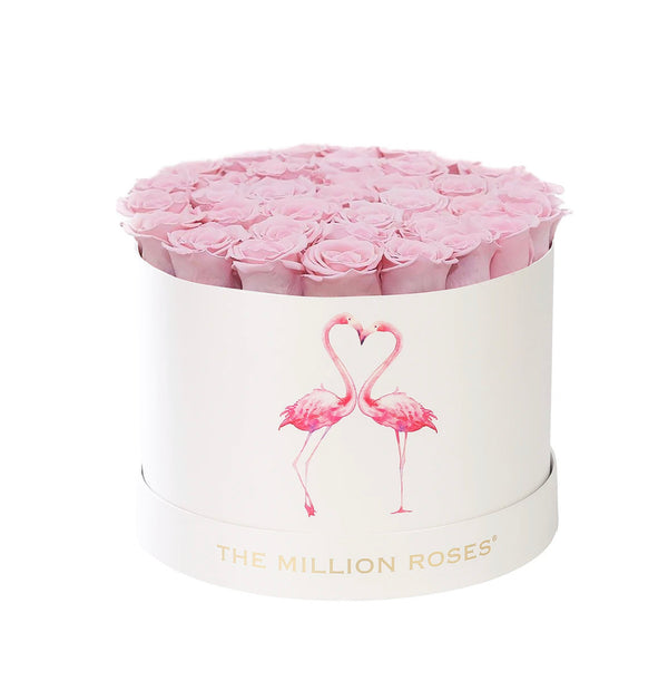 Small -  Light Pink Eternity Roses - Flamingo Box - The Million Roses Slovakia